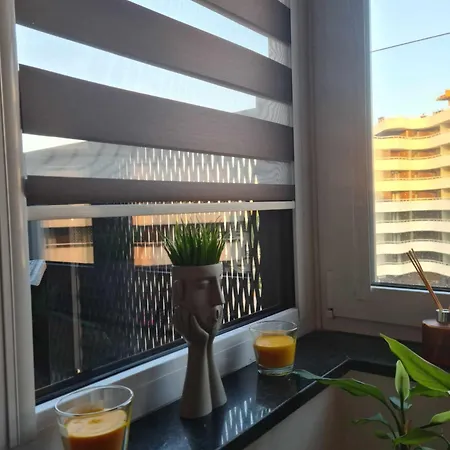 Apartment Walter